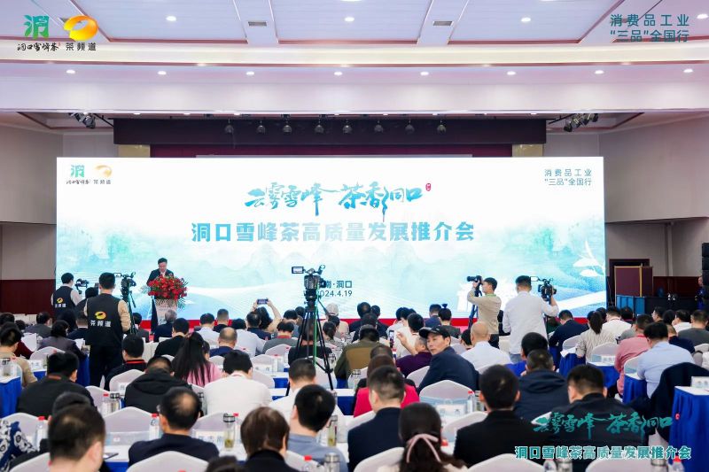 有关于云雾雪峰 茶香洞口——洞口雪峰茶高质量发展推介会在邵阳洞口成功举行的内容(1)