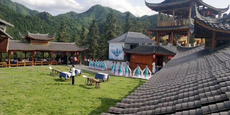 有关于云雾雪峰 茶香洞口——洞口雪峰茶高质量发展推介会在邵阳洞口成功举行的内容(32)