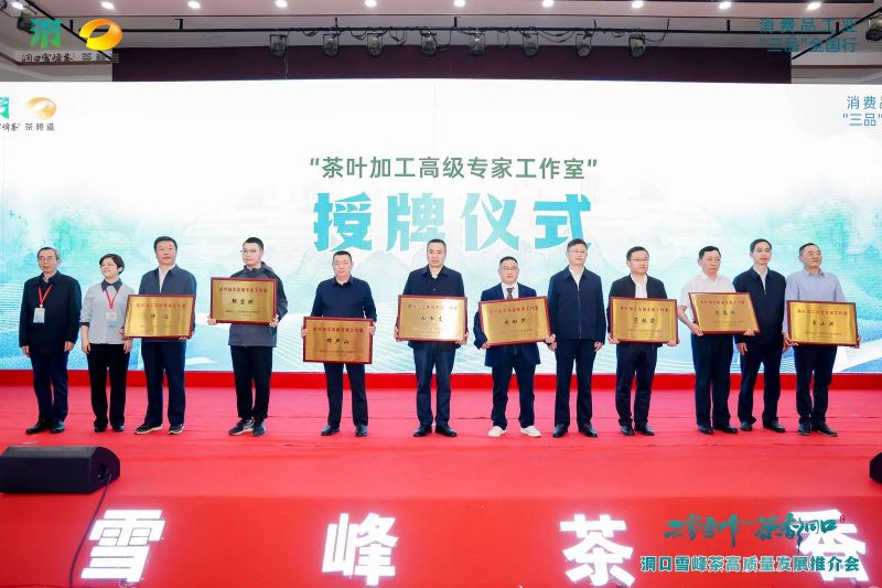 有关于云雾雪峰 茶香洞口——洞口雪峰茶高质量发展推介会在邵阳洞口成功举行的内容(24)