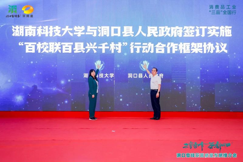 有关于云雾雪峰 茶香洞口——洞口雪峰茶高质量发展推介会在邵阳洞口成功举行的内容(19)