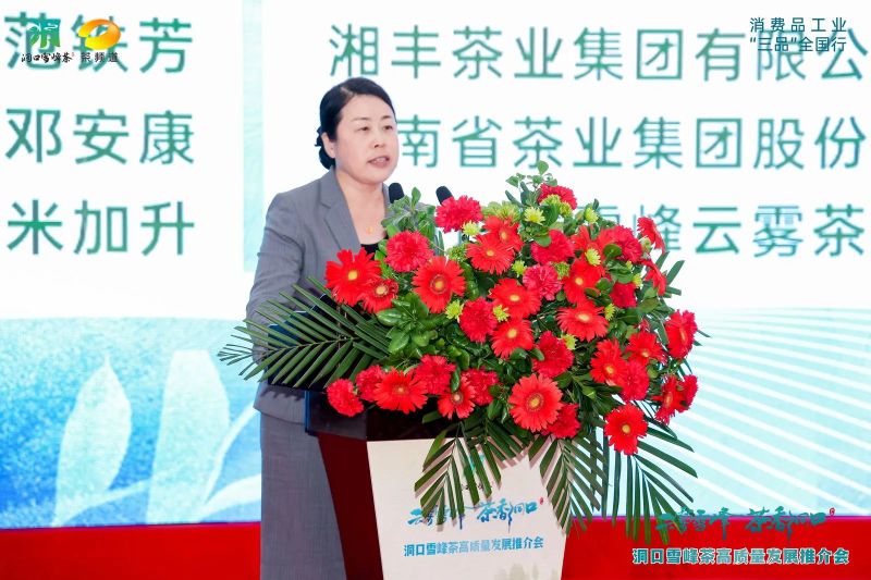 有关于云雾雪峰 茶香洞口——洞口雪峰茶高质量发展推介会在邵阳洞口成功举行的内容(23)
