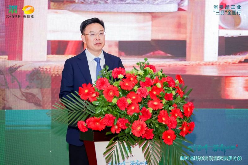 有关于云雾雪峰 茶香洞口——洞口雪峰茶高质量发展推介会在邵阳洞口成功举行的内容(13)