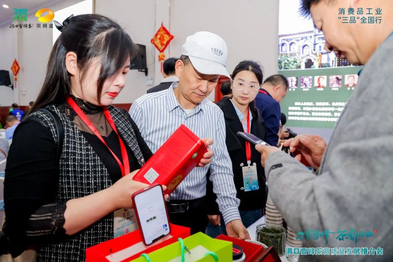 有关于云雾雪峰 茶香洞口——洞口雪峰茶高质量发展推介会在邵阳洞口成功举行的内容(34)