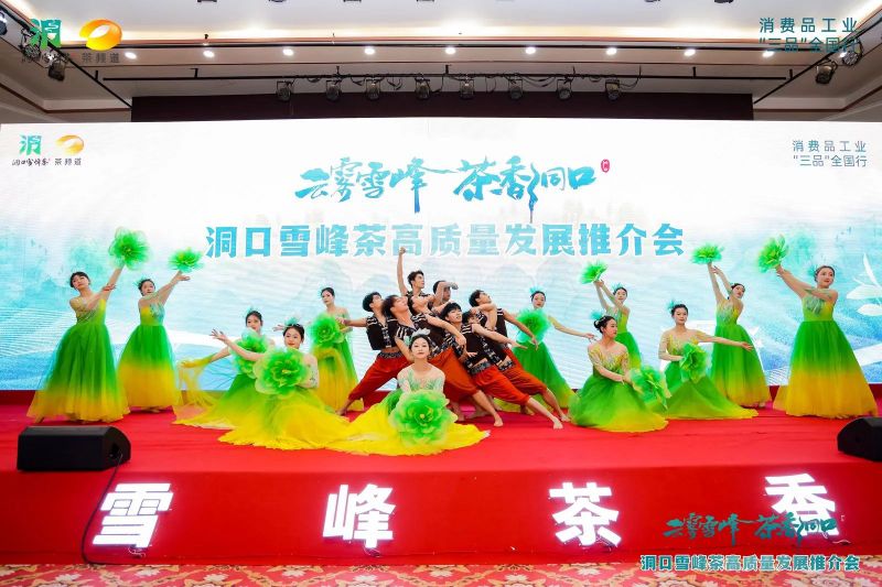有关于云雾雪峰 茶香洞口——洞口雪峰茶高质量发展推介会在邵阳洞口成功举行的内容(4)