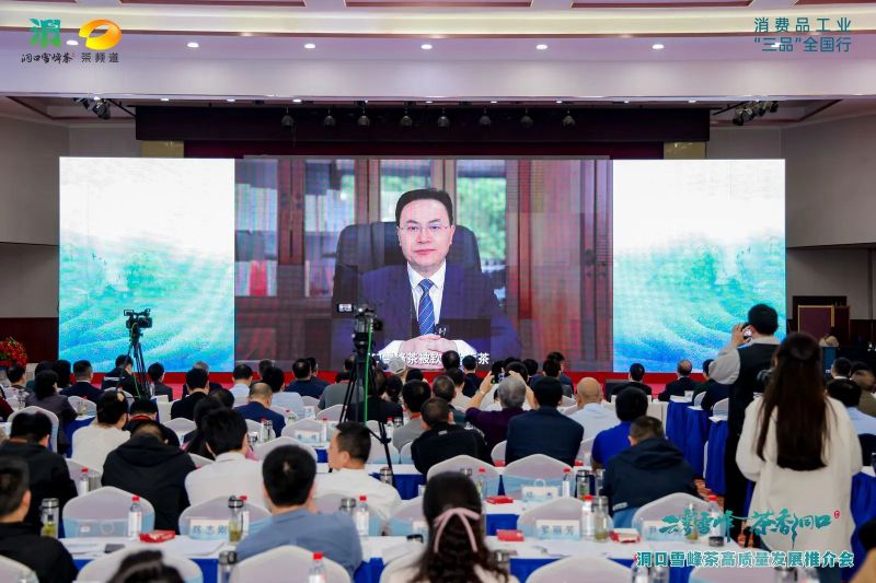 有关于云雾雪峰 茶香洞口——洞口雪峰茶高质量发展推介会在邵阳洞口成功举行的内容(16)