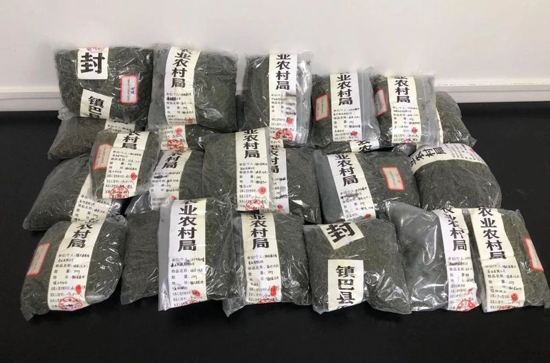 有关于汉中镇巴:开展“五一”节前茶叶专项监督抽查的新闻(2)