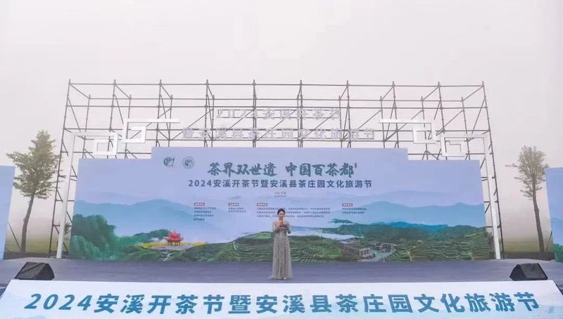 有关于茶乡安溪春茶开采正当时的消息