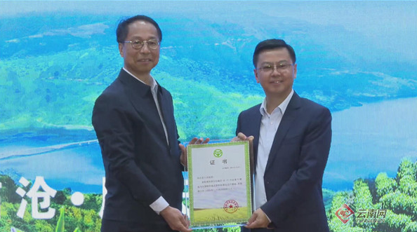 关于云南凤庆:联盟携手,共创茶叶产业新未来的相关信息
