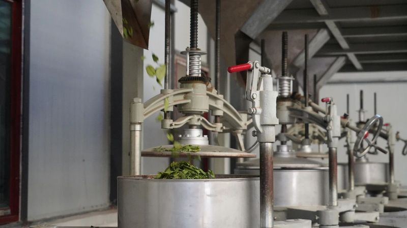 有关于南方电网云南红河绿春供电局：“技术”赋能茶飘香的新闻(5)