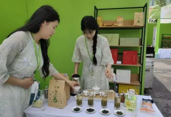 有关于江西庐山以茶为媒，助力茶文旅融合发展的相关内容(1)