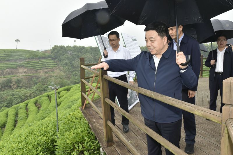 关于省长叶建春主持召开推进茶产业高质量发展座谈会:打好赣茶生态牌品质牌科技牌文化牌的相关内容(1)