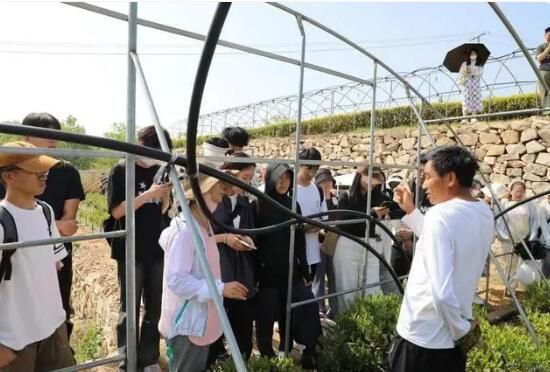 有关于泰安省庄镇：茶文旅融合催生茶园研学热的相关信息