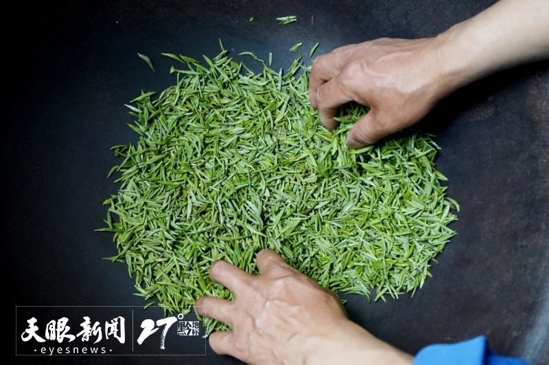 有关于都匀毛尖茶制作技艺：茶香万里 名震九州的最新消息(6)