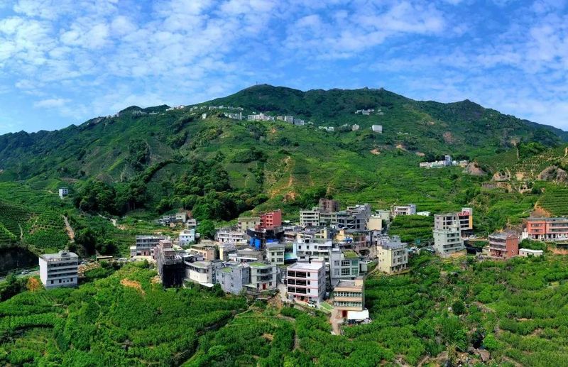 关于走进凤凰单丛茶核心产区，解锁高香丛韵的“味蕾密码”！的消息(2)