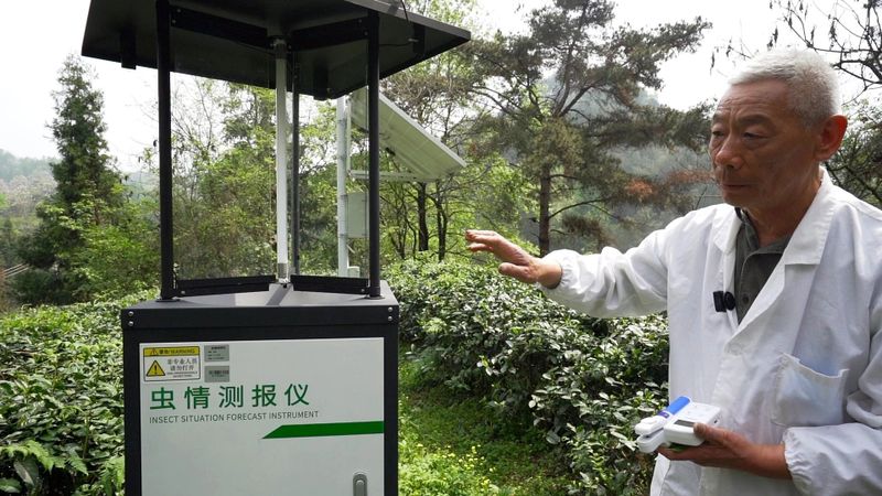 关于都匀：大数据赋能都匀毛尖茶产业发展的新闻(2)