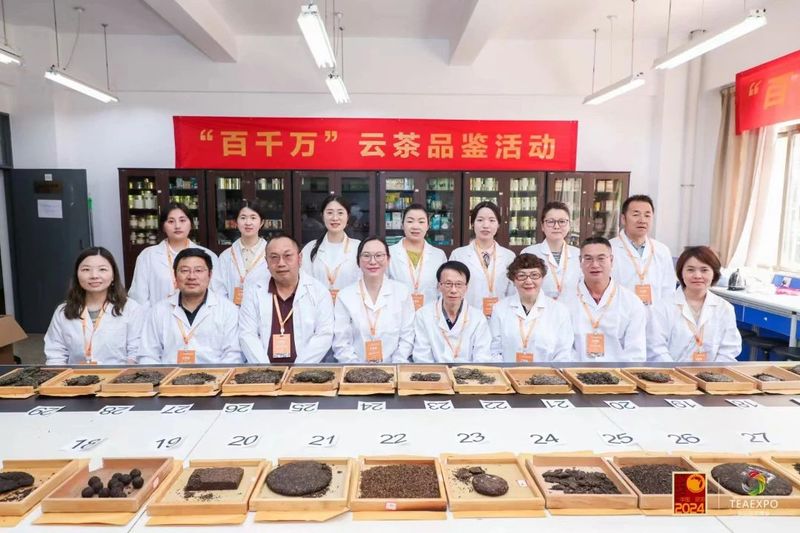 有关于云茶对决·万人参与！“百千万”云茶品鉴活动成功举办！的消息(16)