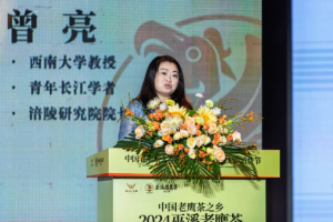 关于2024巫溪老鹰茶文旅消费节研讨会暨产销对接会圆满举行的消息(1)