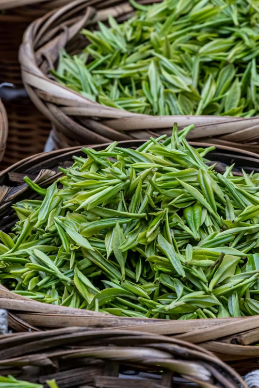 关于2024湖北茶产业难在哪？包装须合规，市场疲软，库存压力大的相关信息(4)