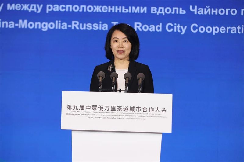 有关于第九届中蒙俄万里茶道城市合作大会在湖北省孝感汉川市黄龙湖举行的相关内容(7)