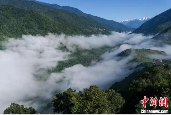 有关于西藏边城墨脱:“一片茶叶”兴产业的内容(3)