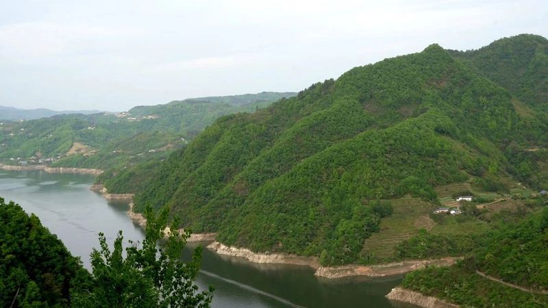 有关于从“茶小白”到“茶行家”！邓庆丽带领群众走上致富路的资讯