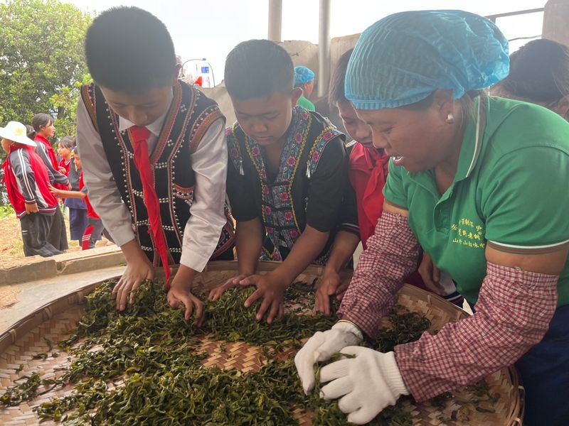 关于新抚镇小学：茶山变课堂 学生采茶忙的消息(2)