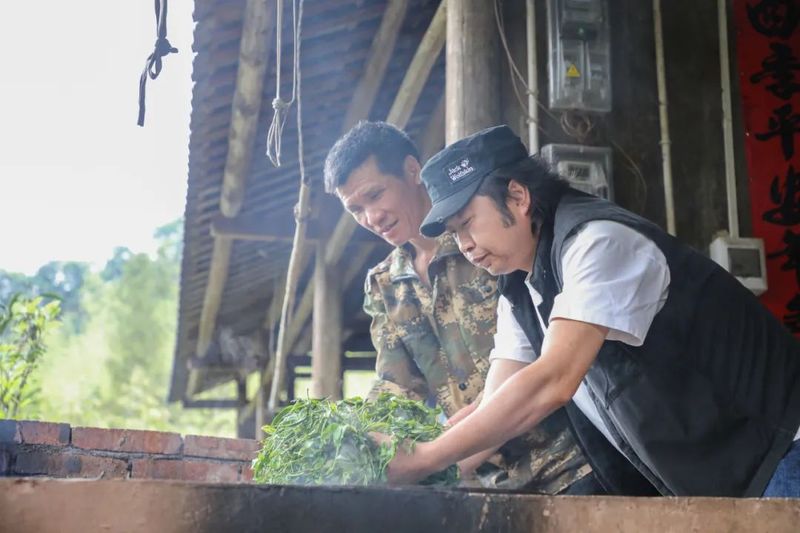 有关于灵川公平乡：采茶春山上 茶香溢四方的相关内容(1)