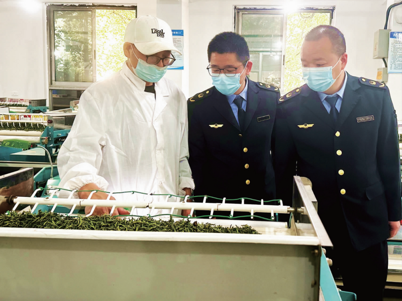 有关于浙江永嘉:乌牛早茶产业谱写乡村振兴“大文章”的内容(2)