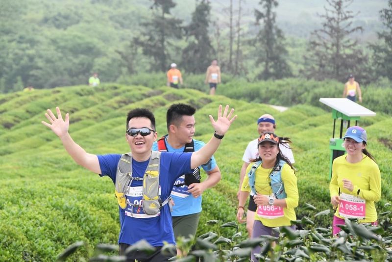 关于茶海翻涌千帆竞 武义一“叶”成“链”撬动三产融合的信息(1)