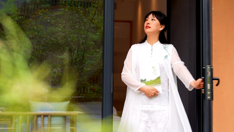 有关于陕茶一号:从一棵茶树到一方产业的信息(2)