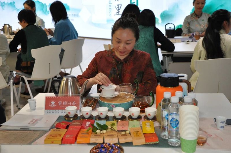 关于中国茶里的文化自信，上海市茶叶学会青年茶会圆满举办的最新消息(10)